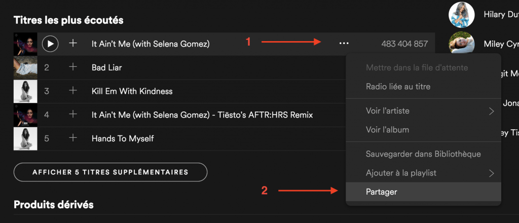 imprimé d'écran d'un profil Spotify