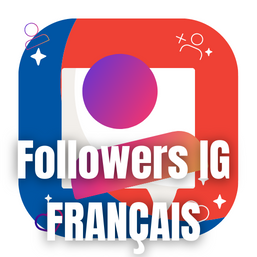 followers instagram français