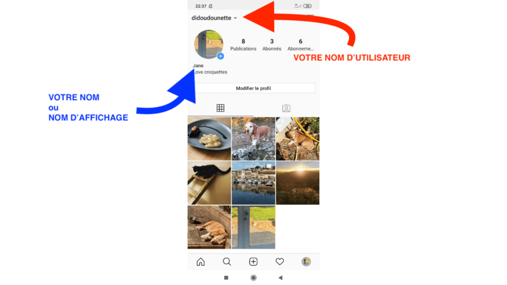 difference entre nom d'affichage et nom d'utilisateur Instagram